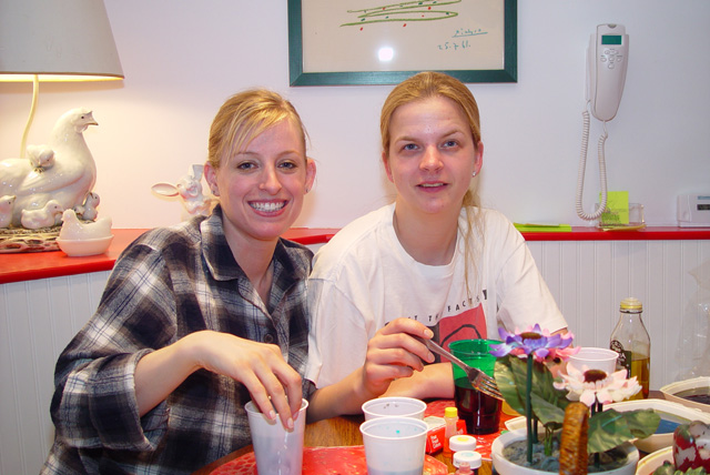 Click to see big picture (640x428 pixels; 119 KB))