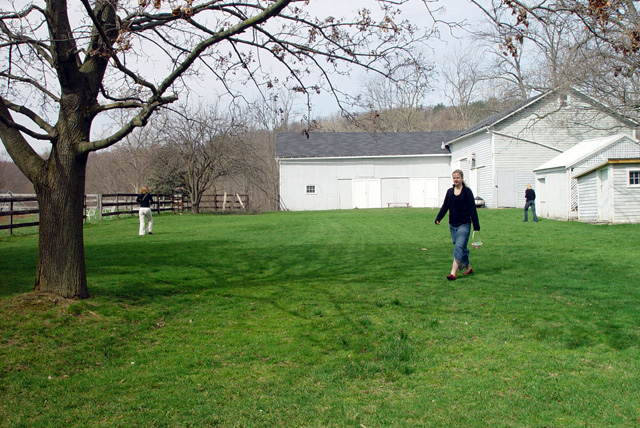 Click to see big picture (640x428 pixels; 192 KB))