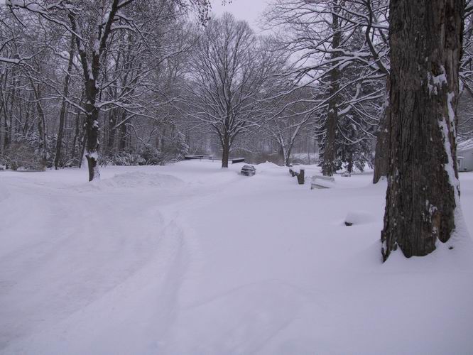 Click to see big picture (666x500 pixels; 65 KB))