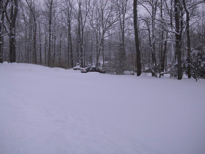 Click to see big picture (666x500 pixels; 61 KB))