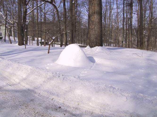 Click to see big picture (666x500 pixels; 73 KB))