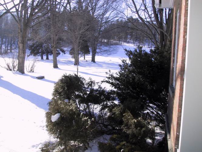 Click to see big picture (666x500 pixels; 84 KB))