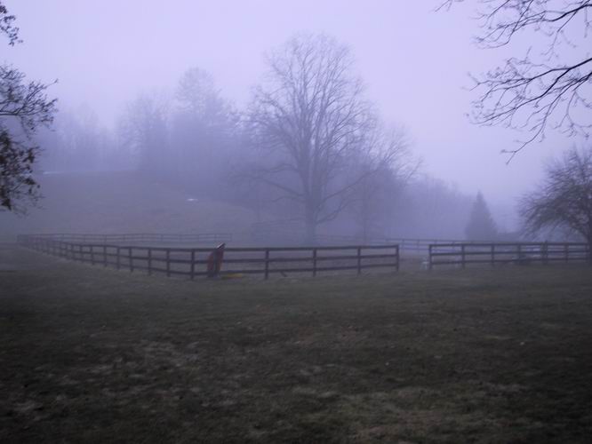 Click to see big picture (666x500 pixels; 36 KB))