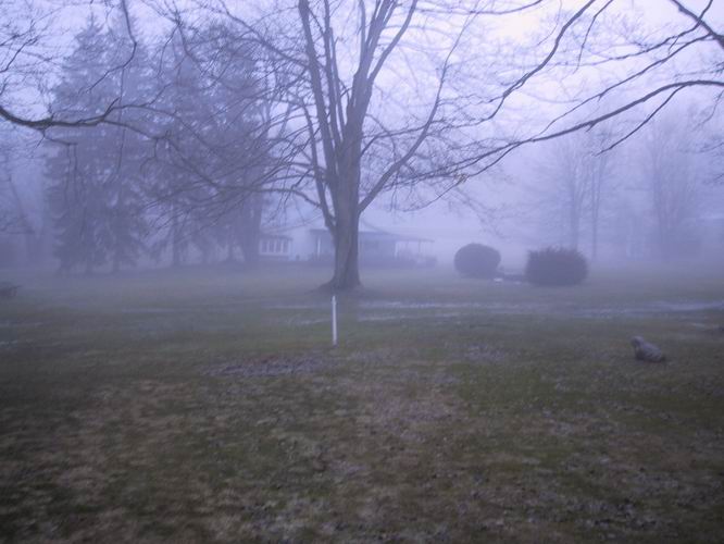 Click to see big picture (666x500 pixels; 51 KB))