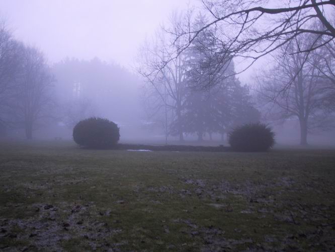 Click to see big picture (666x500 pixels; 46 KB))