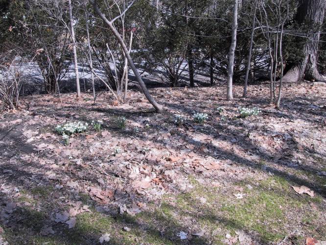 Click to see big picture (666x500 pixels; 134 KB))