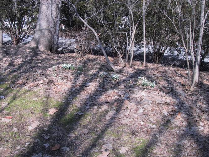 Click to see big picture (666x500 pixels; 125 KB))