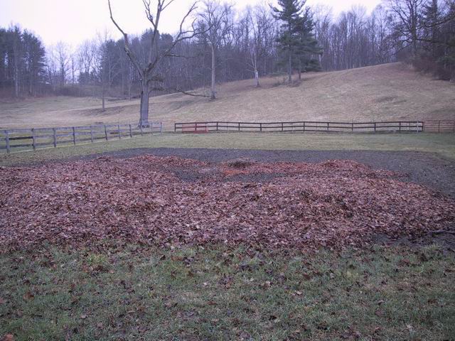 Click to see big picture (640x480 pixels; 89 KB))