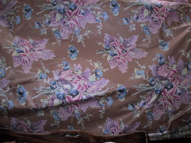 Click to see big picture (640x480 pixels; 79 KB))