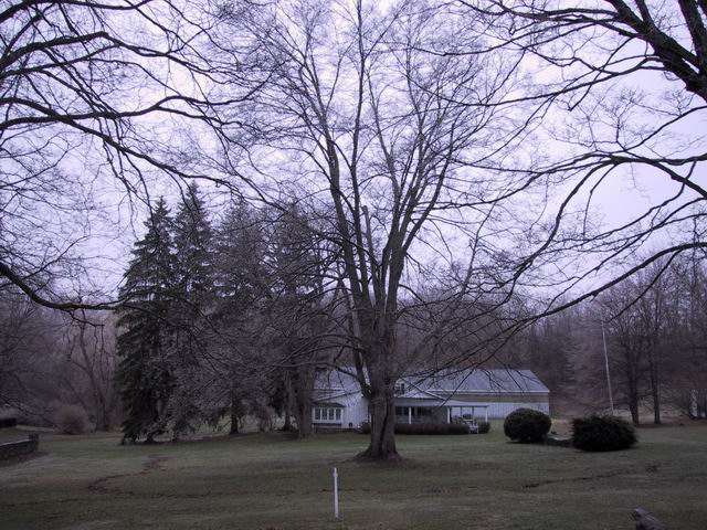 Click to see big picture (640x480 pixels; 98 KB))