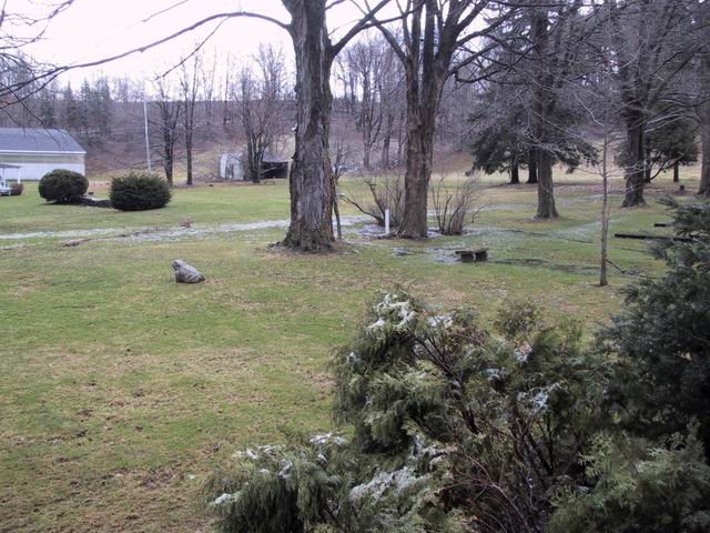 Click to see big picture (640x480 pixels; 88 KB))