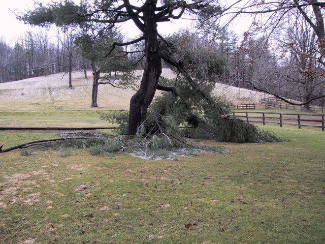 Click to see big picture (640x480 pixels; 93 KB))