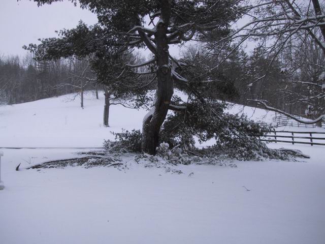 Click to see big picture (640x480 pixels; 63 KB))