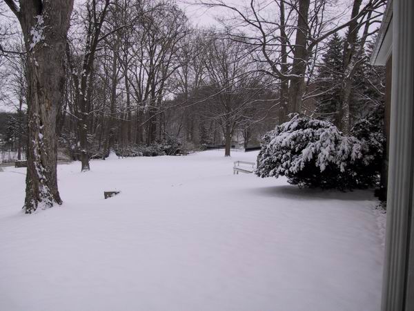 Click to see big picture (600x450 pixels; 61 KB))