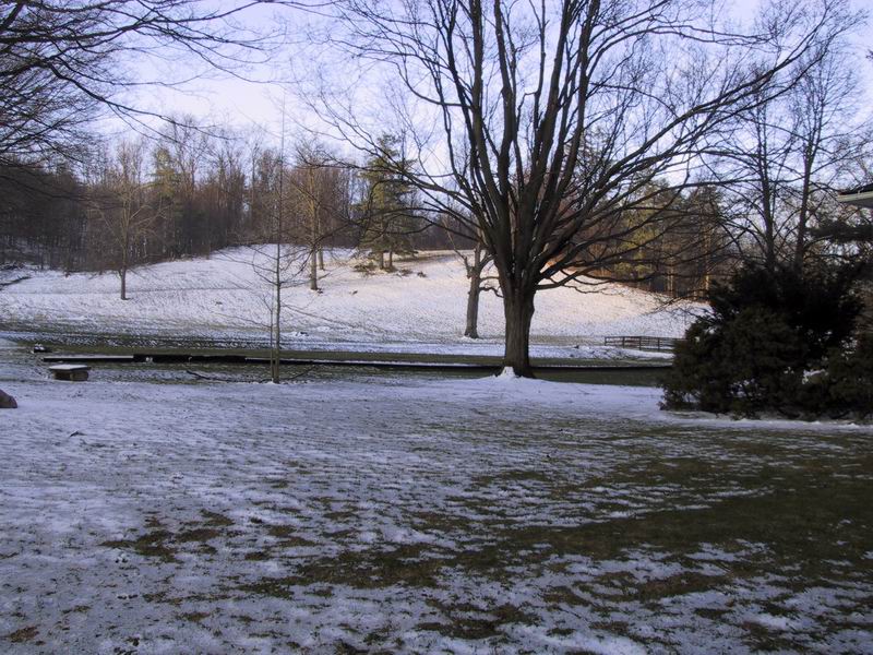 Click to see big picture (800x600 pixels; 141 KB))