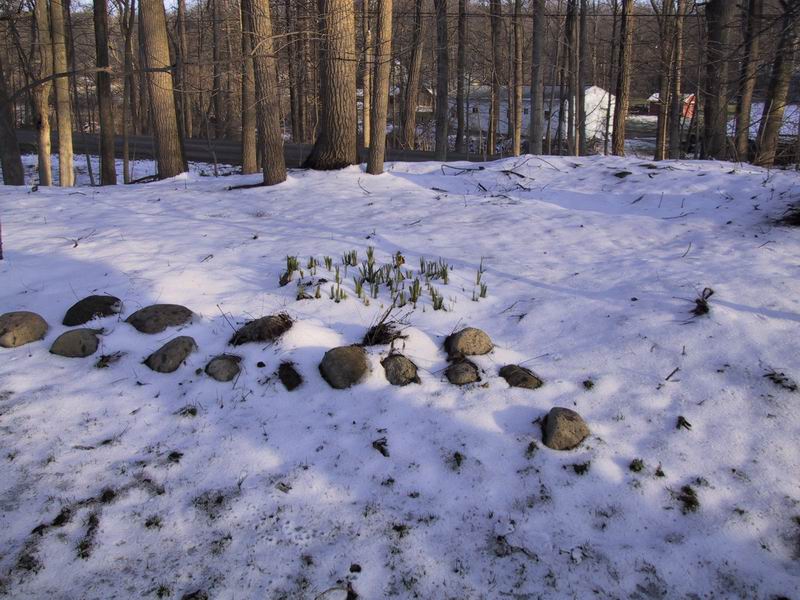 Click to see big picture (800x600 pixels; 109 KB))