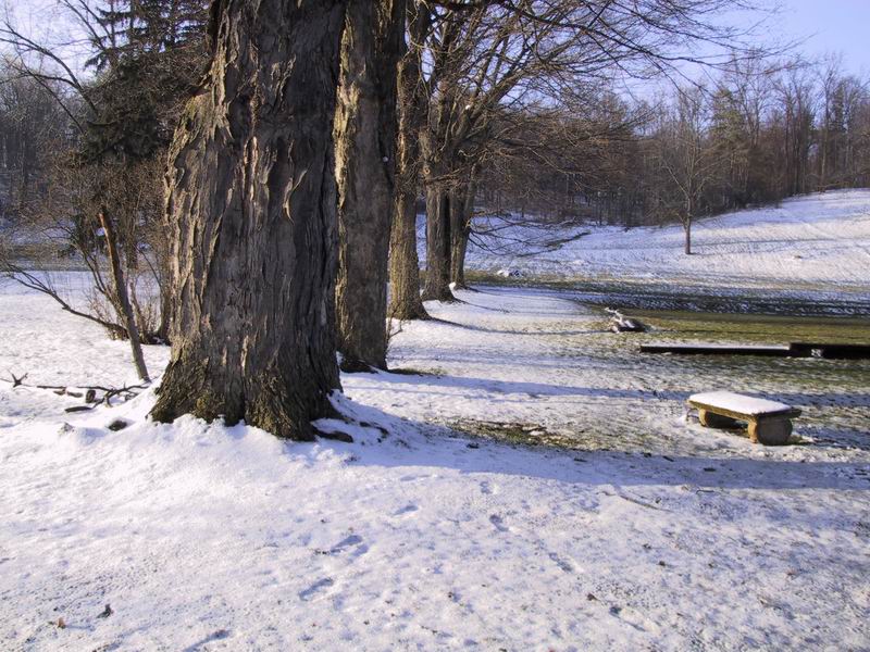 Click to see big picture (800x600 pixels; 134 KB))