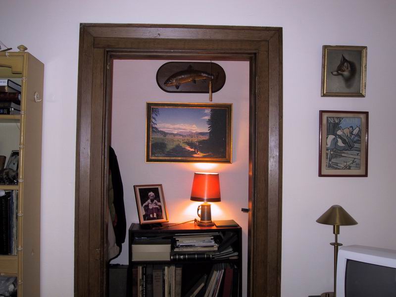 Click to see big picture (800x600 pixels; 61 KB))