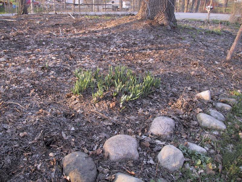 Click to see big picture (800x600 pixels; 182 KB))