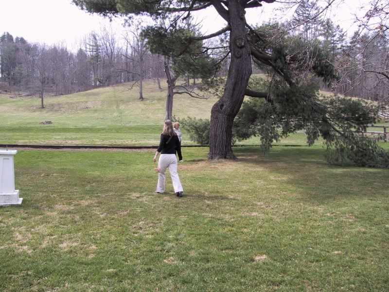 Click to see big picture (800x600 pixels; 458 KB))