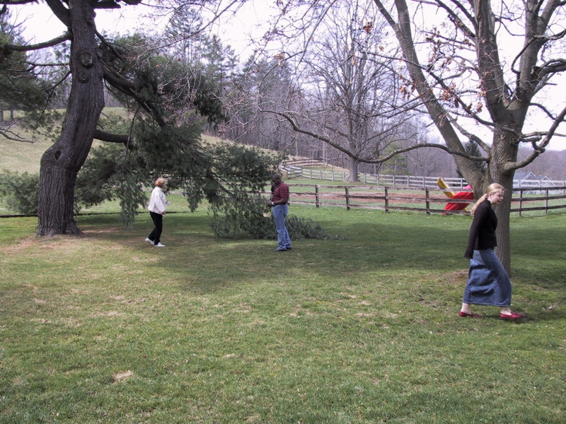 Click to see big picture (800x600 pixels; 482 KB))