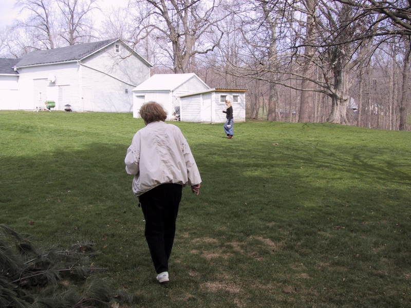 Click to see big picture (800x600 pixels; 432 KB))