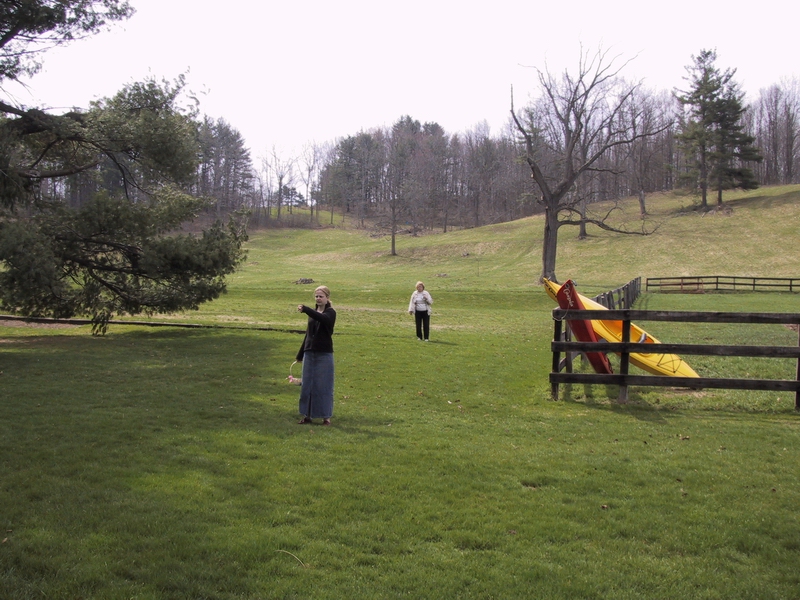 Click to see big picture (800x600 pixels; 374 KB))