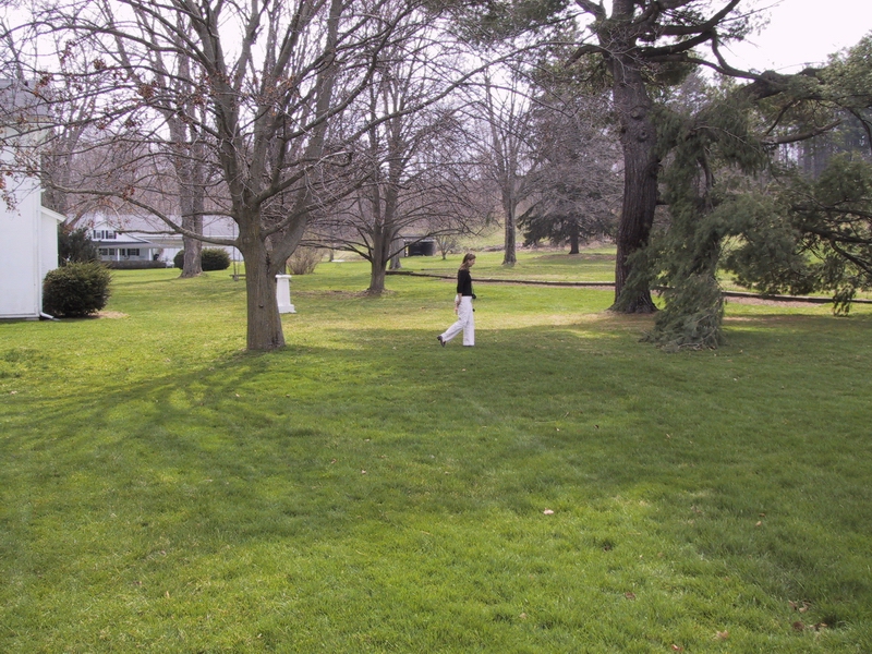 Click to see big picture (800x600 pixels; 464 KB))