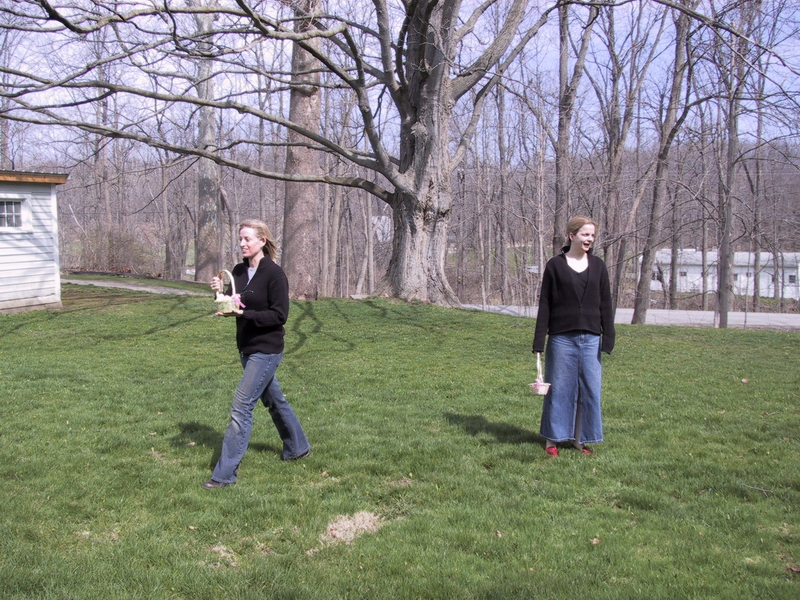 Click to see big picture (800x600 pixels; 480 KB))