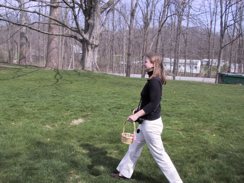 Click to see big picture (800x600 pixels; 452 KB))