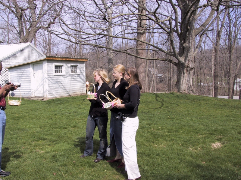 Click to see big picture (800x600 pixels; 473 KB))