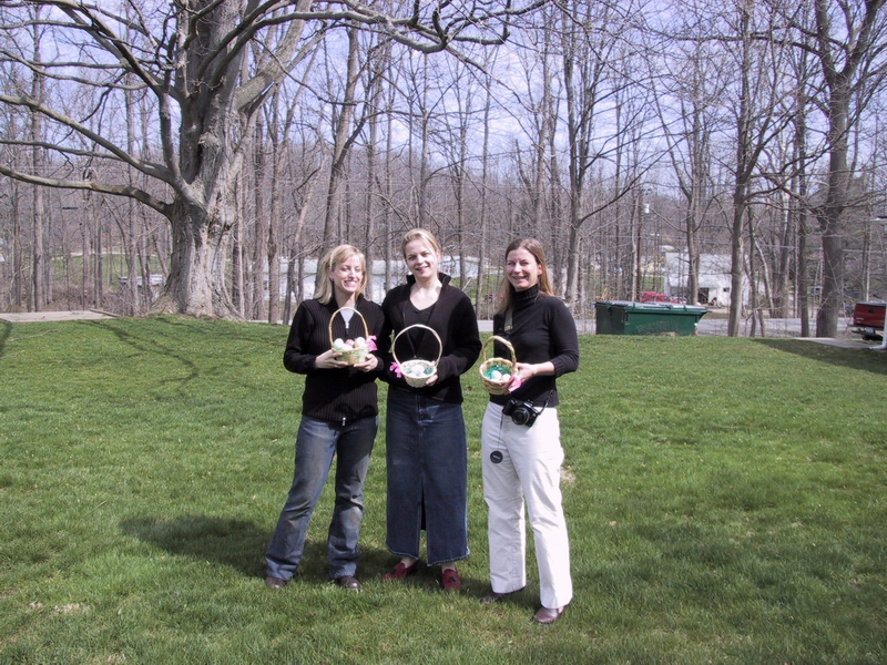 Click to see big picture (800x600 pixels; 481 KB))