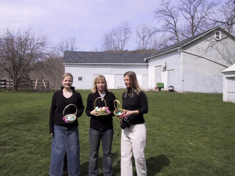 Click to see big picture (800x600 pixels; 401 KB))