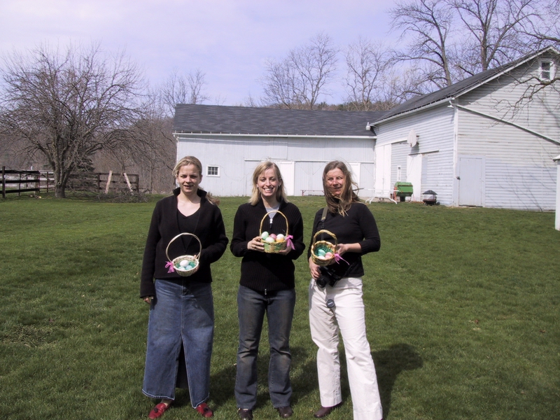 Click to see big picture (800x600 pixels; 406 KB))