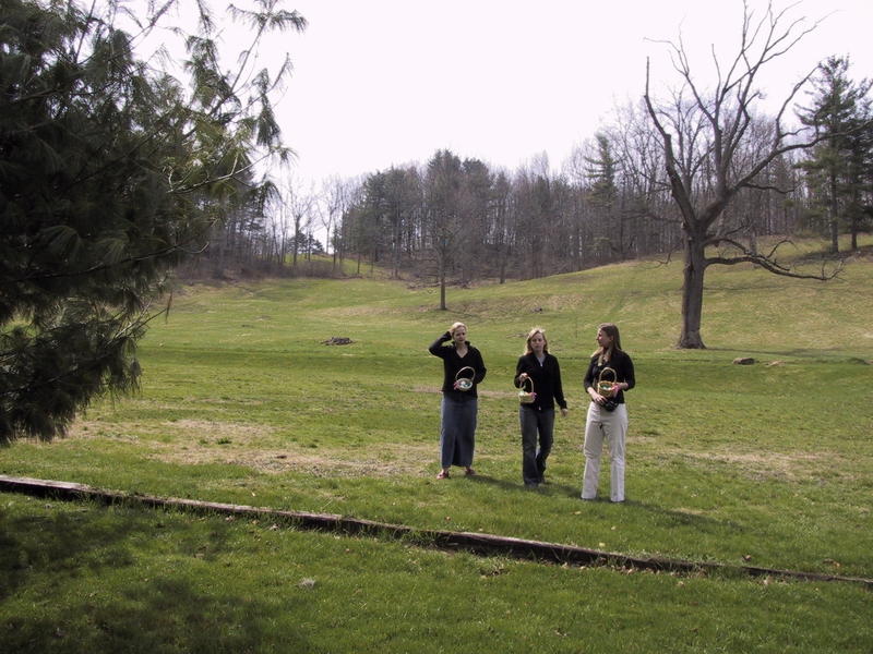 Click to see big picture (800x600 pixels; 403 KB))