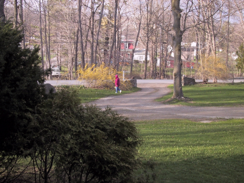 Click to see big picture (800x600 pixels; 447 KB))