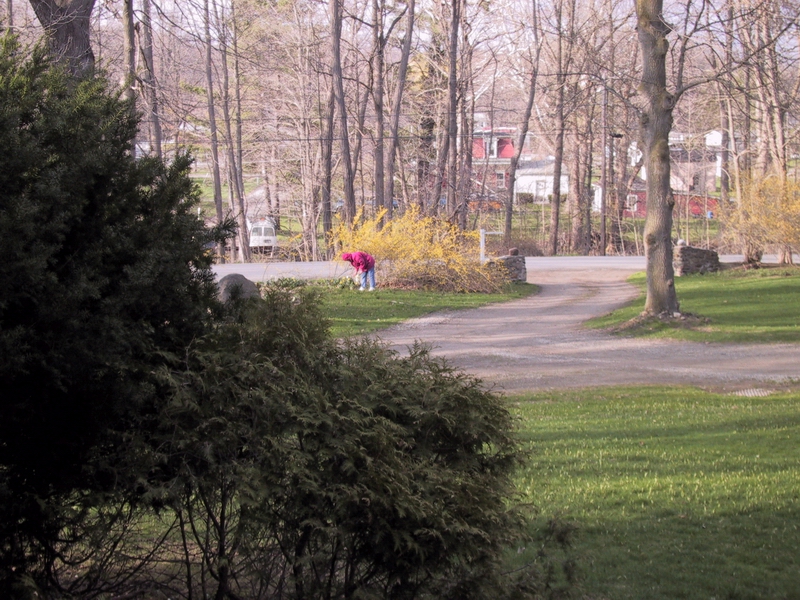 Click to see big picture (800x600 pixels; 448 KB))