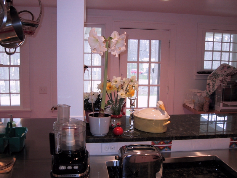 Click to see big picture (800x600 pixels; 348 KB))