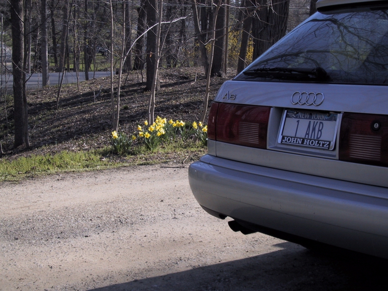 Click to see big picture (800x600 pixels; 417 KB))