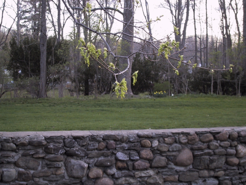 Click to see big picture (800x600 pixels; 403 KB))