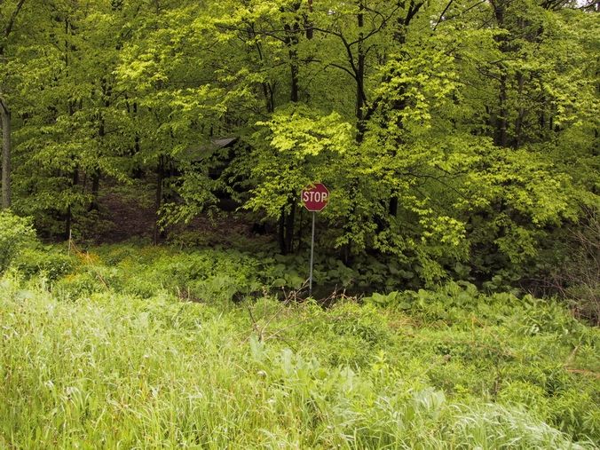 Click to see big picture (676x507 pixels; 134 KB))