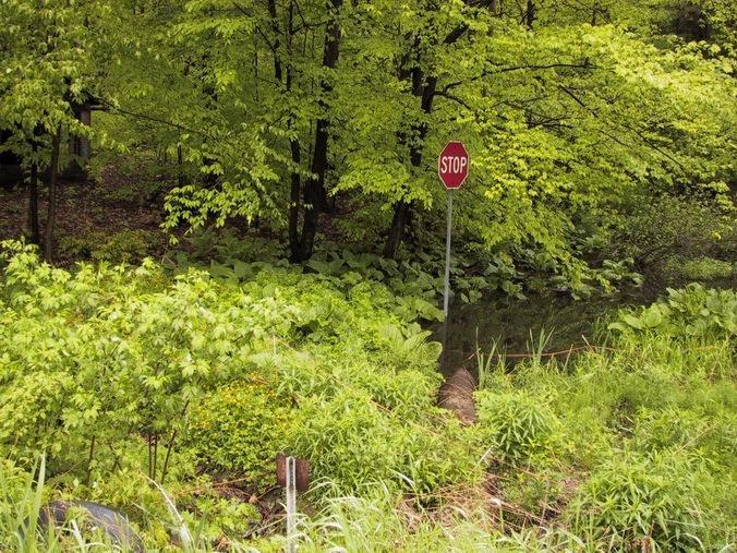 Click to see big picture (676x507 pixels; 141 KB))