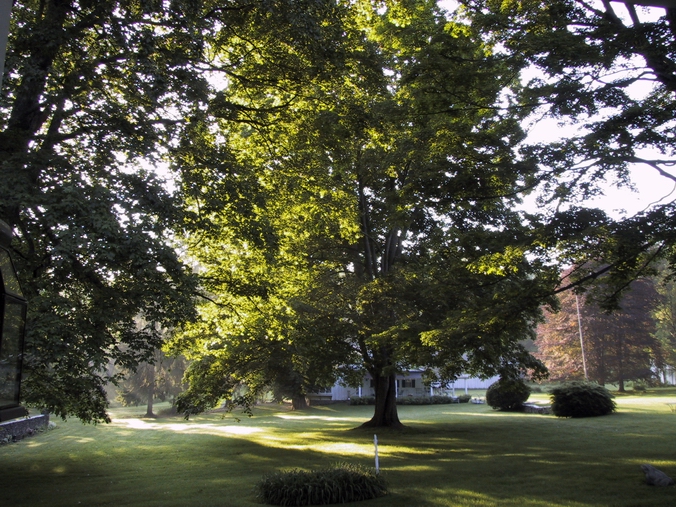 Click to see big picture (676x507 pixels; 380 KB))