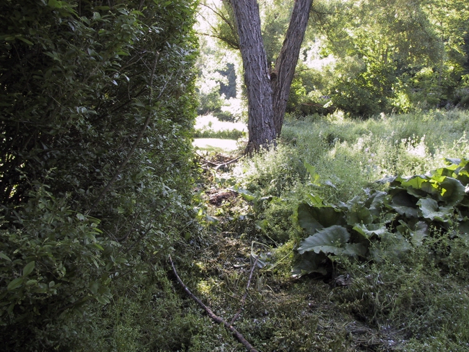 Click to see big picture (676x507 pixels; 361 KB))