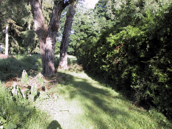 Click to see big picture (676x507 pixels; 377 KB))