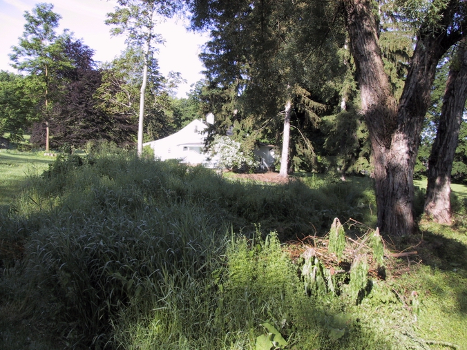 Click to see big picture (676x507 pixels; 359 KB))