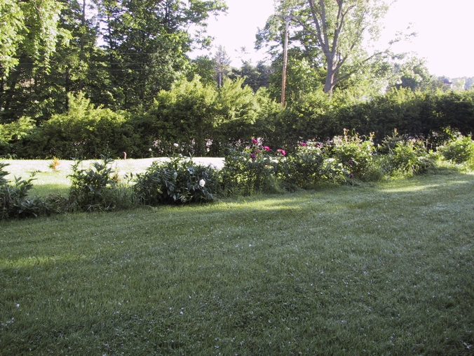 Click to see big picture (676x507 pixels; 352 KB))