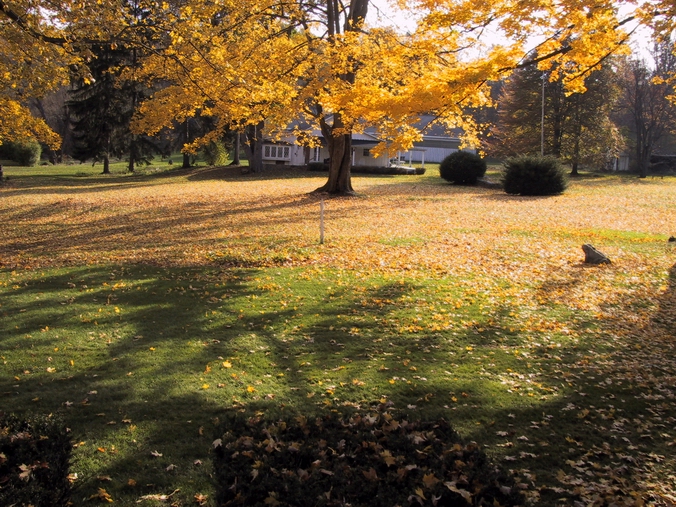 Click to see big picture (676x507 pixels; 384 KB))