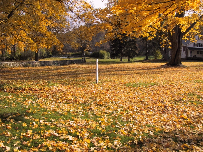 Click to see big picture (676x507 pixels; 416 KB))