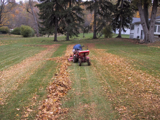 Click to see big picture (676x507 pixels; 368 KB))